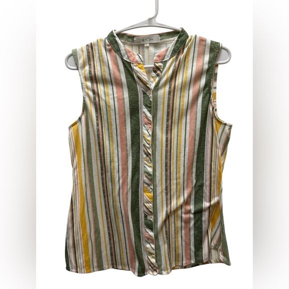 Eden & Olivia Tops - Eden & Olivia Multicolor Striped Blouse